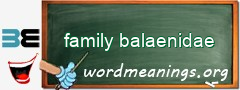 WordMeaning blackboard for family balaenidae